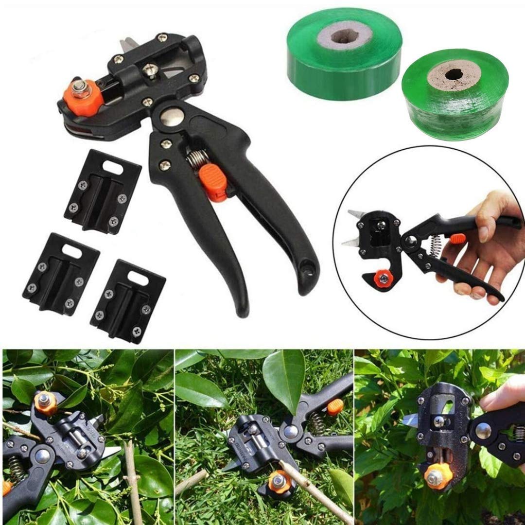 Greffage Ruban Outils de Jardin pour la Greffe d'Arbres Fruitiers