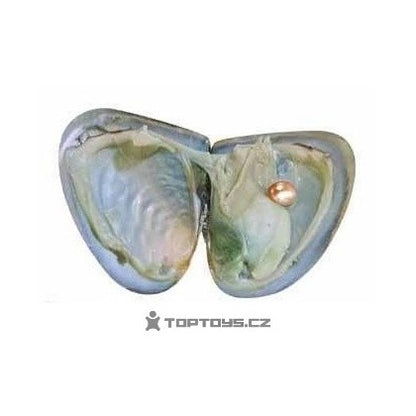 قلادة لؤلؤة طبيعية