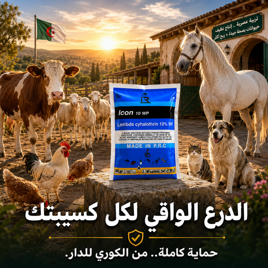 Anti Insectes & Reptiles  - بودرة مخصصة للقضاء على جميع أنواع الحشرات والزواحف