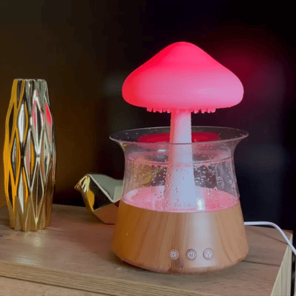 Champignon Pluie - فطر ممطر