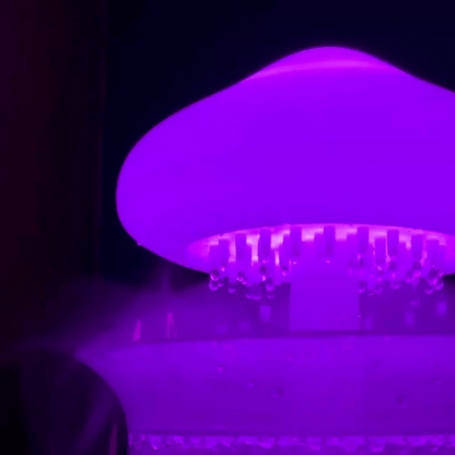 Champignon Pluie - فطر ممطر